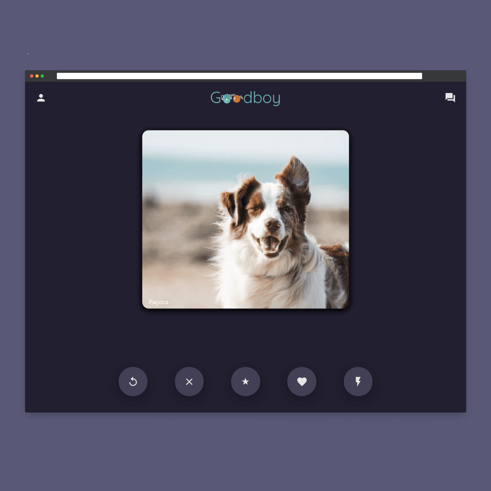 Picture of the goodboy project